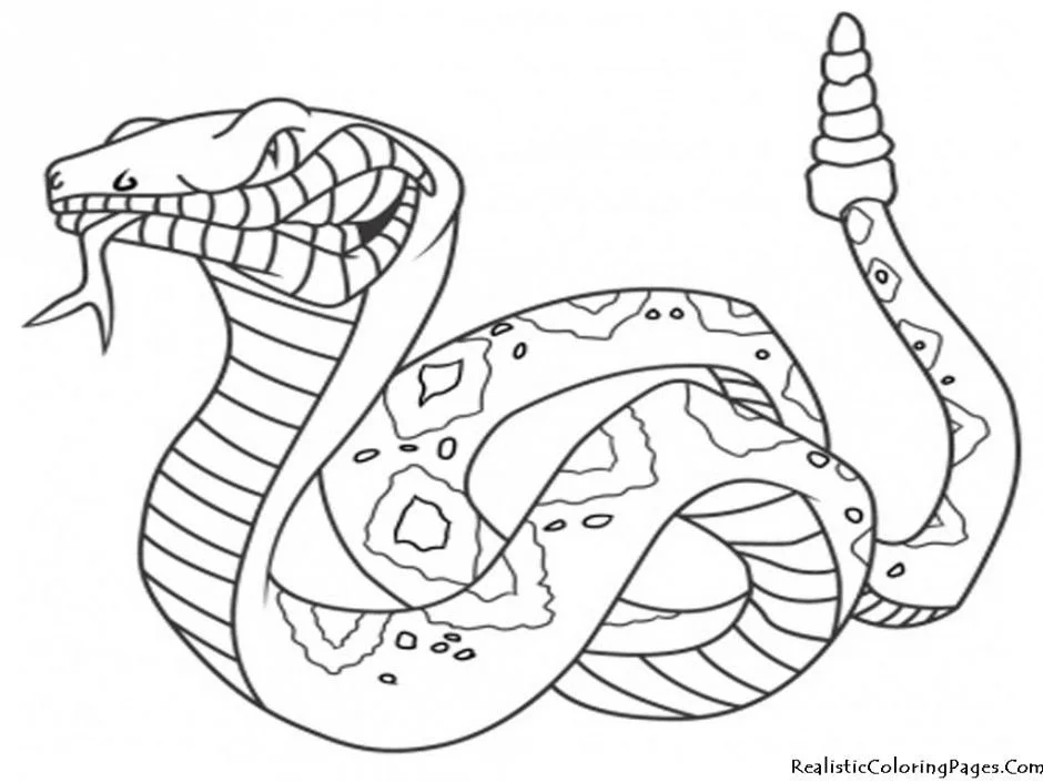 Snake Coloring Pages 57