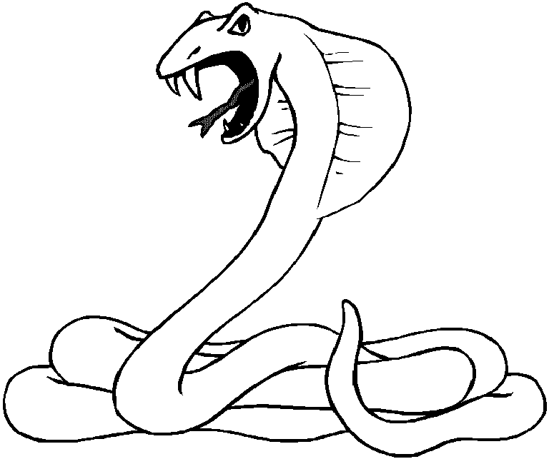 Snake Coloring Pages 6