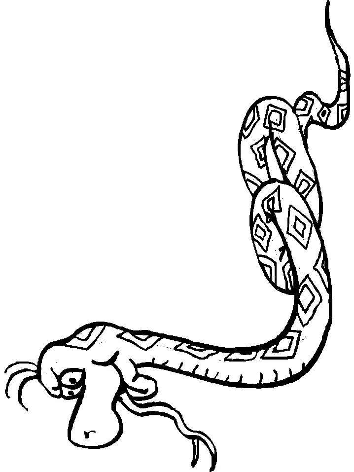 Snake Coloring Pages 92
