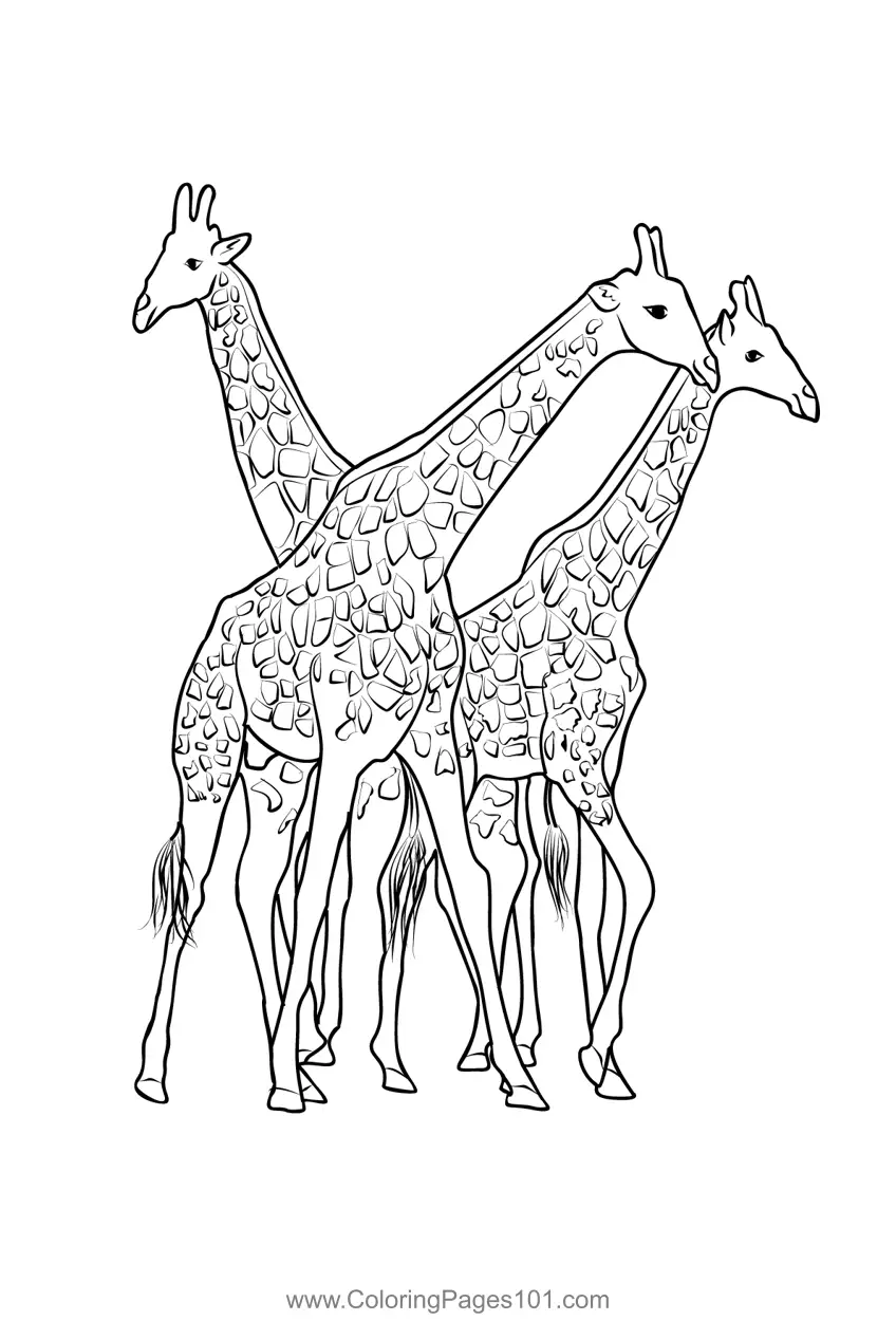 South Africa Coloring Pages 3