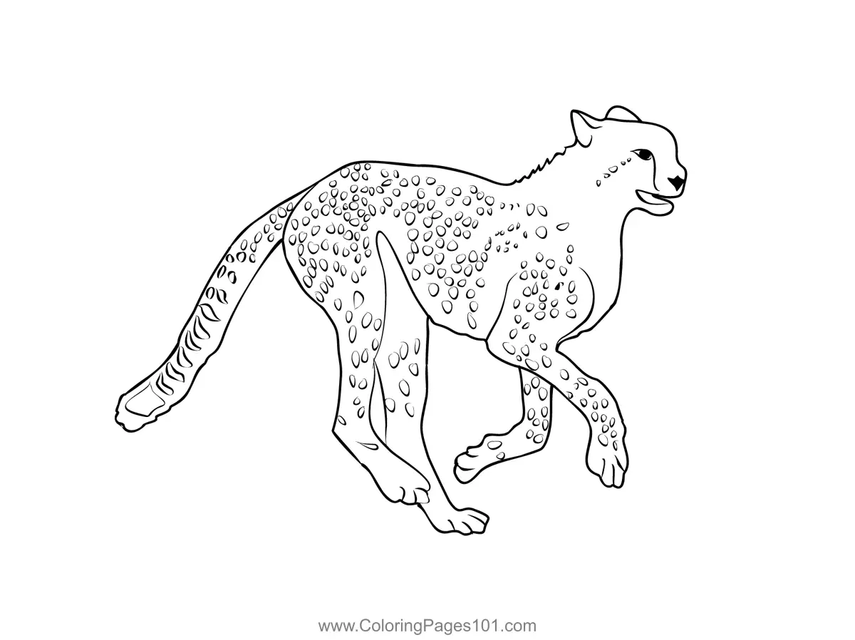 South Africa Coloring Pages 7