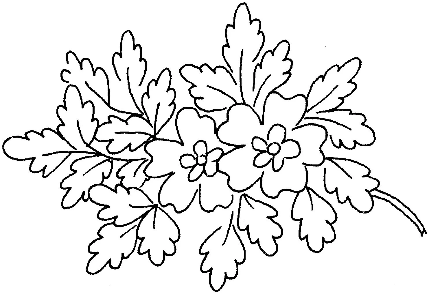 Spring Coloring Pages 118