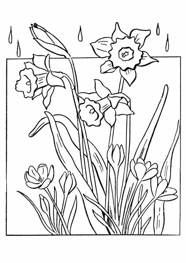 Spring Coloring Pages 93