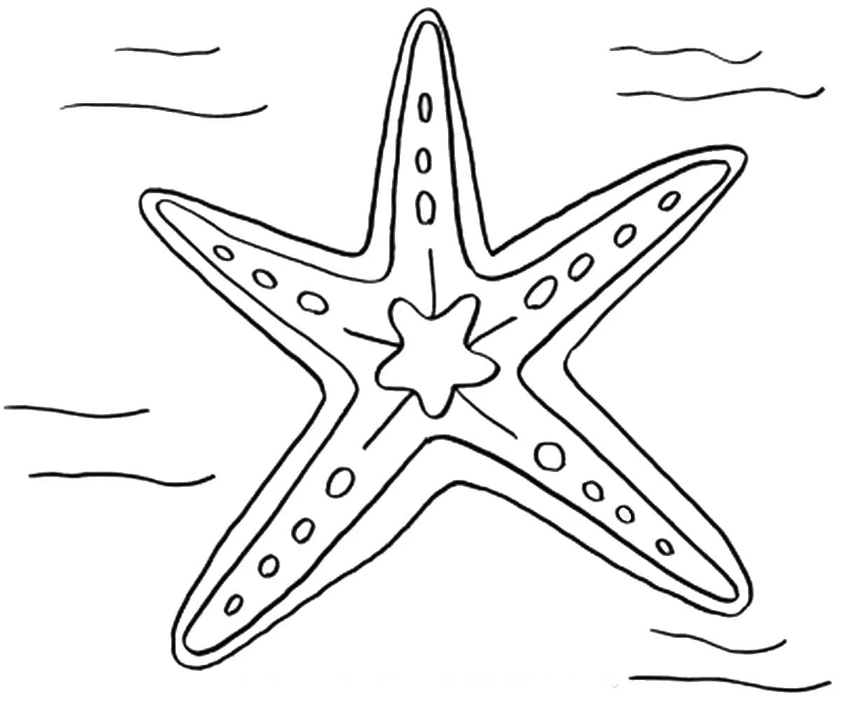 Starfish Coloring Pages 65