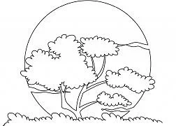 Puesta De Sol Para Colorear 21