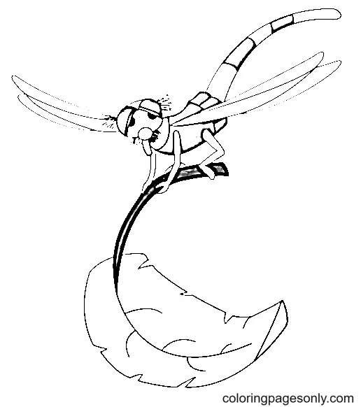 The Rescuers Coloring Pages 15