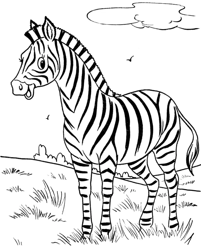 Zebra Coloring Pages 19