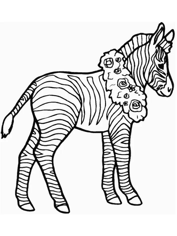 Zebra Coloring Pages 21
