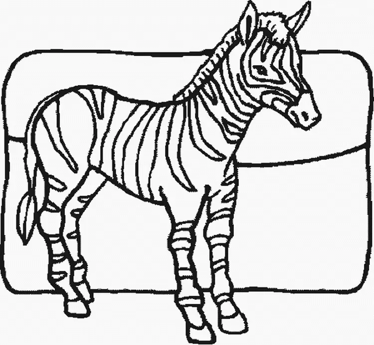 Zebra Coloring Pages 28