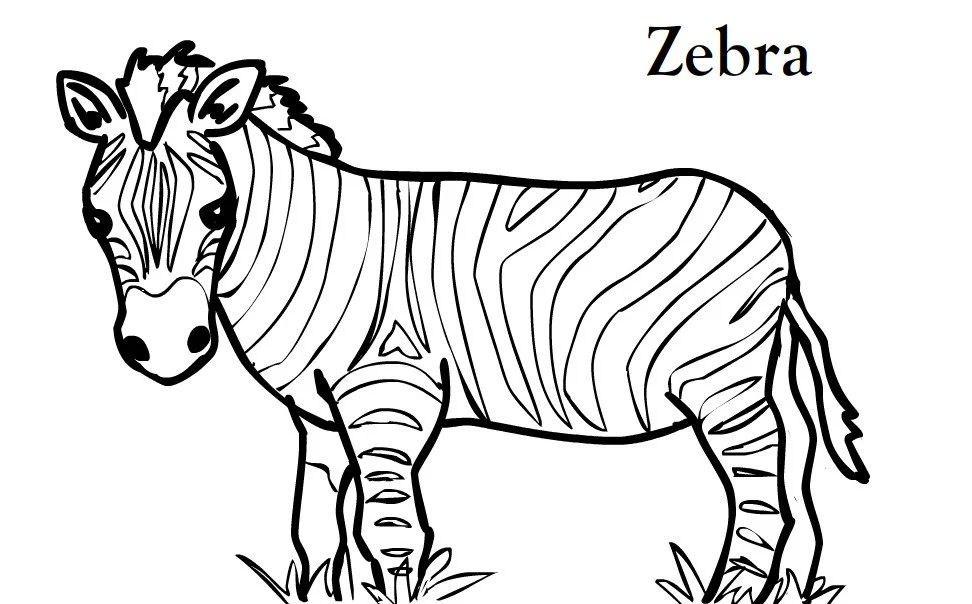 Zebra Coloring Pages 3