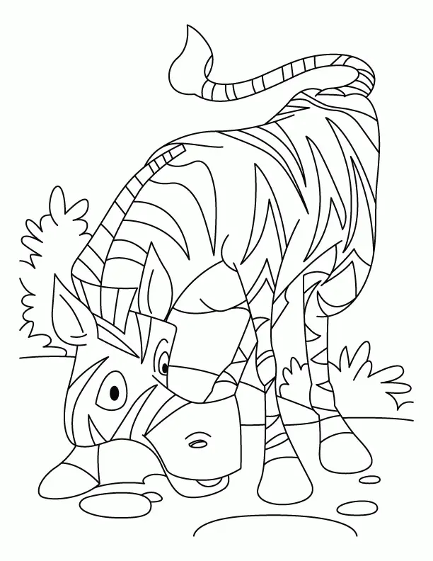 Zebra Coloring Pages 5