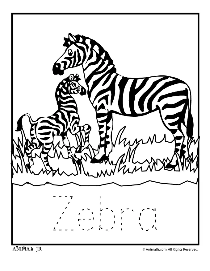 Zebra Coloring Pages 9